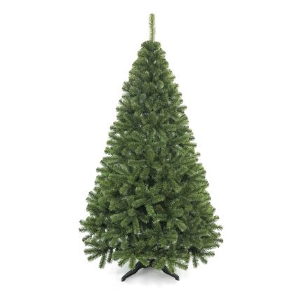 Karácsonyfa 250 cm-es ezüstfenyő