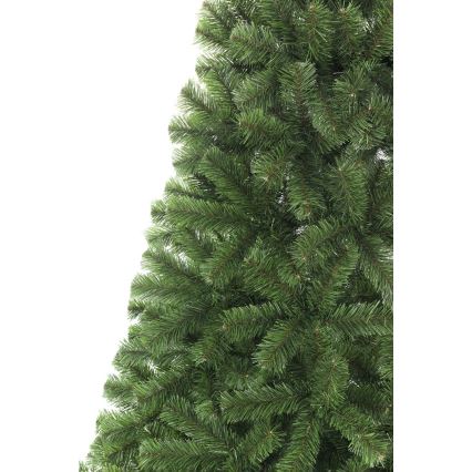Karácsonyfa 250 cm-es ezüstfenyő