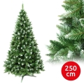 Karácsonyfa 250 cm-es ezüstfenyő