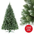 Karácsonyfa 250 cm-es fenyő