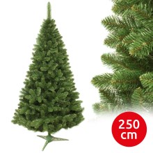 Karácsonyfa 250 cm fenyő