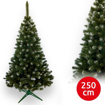 Karácsonyfa 250 cm, fenyő