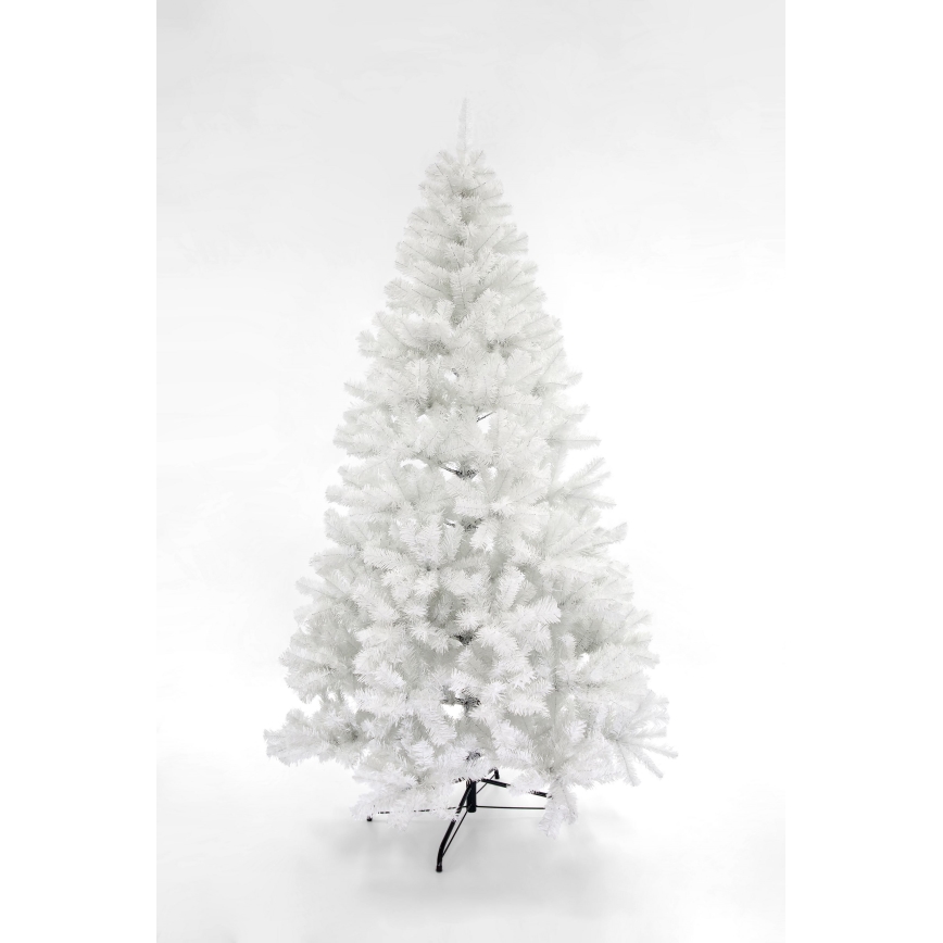 Karácsonyfa FEHÉR ALASKA 180 cm fenyő