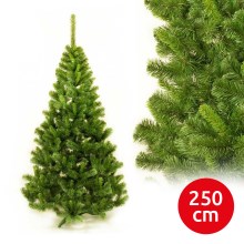 Karácsonyfa JULIA 250 cm fenyőfa