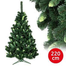 Karácsonyfa NARY II 220 cm borókafenyő