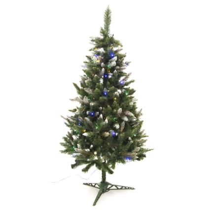 Karácsonyfa NORY 220 cm borókafenyő