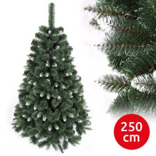 Karácsonyfa NORY 250 cm borókafenyő