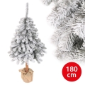 Karácsonyfa PIN 180 cm fenyő