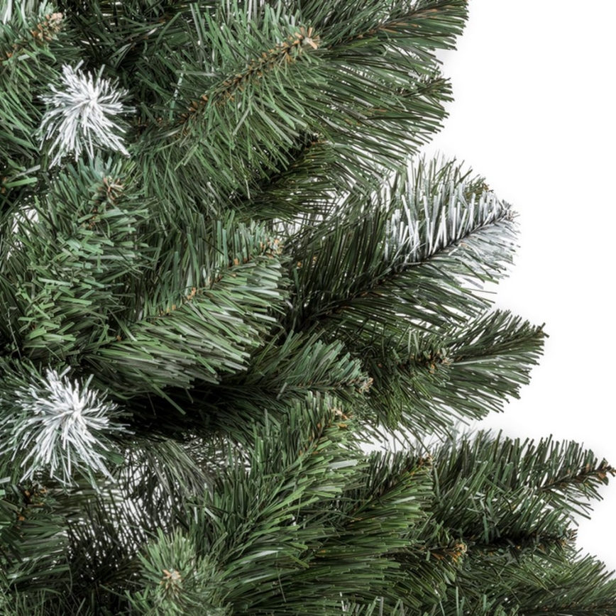 Karácsonyfa POLA 150 cm-es fenyő