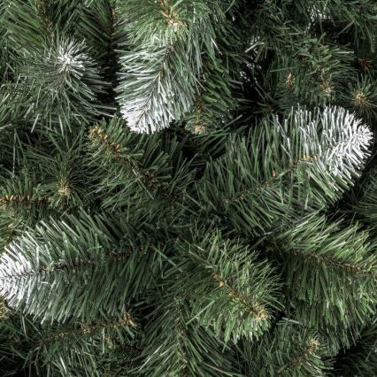 Karácsonyfa POLA 150 cm-es fenyő