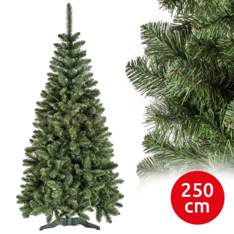Karácsonyfa POLA 250 cm fenyő