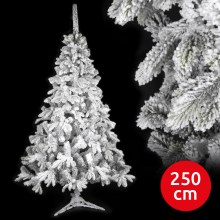 Karácsonyfa RON 250 cm lucfenyő