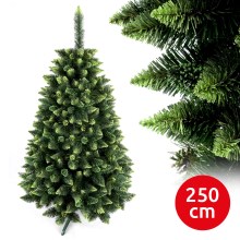 Karácsonyfa SAL 250 cm borókafenyő