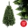 Karácsonyfa SAL 250 cm borókafenyő