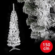 Karácsonyfa SLIM 150 cm fenyőfa