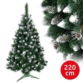 Karácsonyfa TAL 220 cm borókafenyő