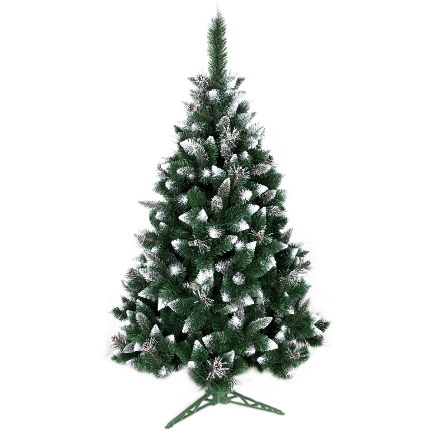 Karácsonyfa TAL 220 cm borókafenyő
