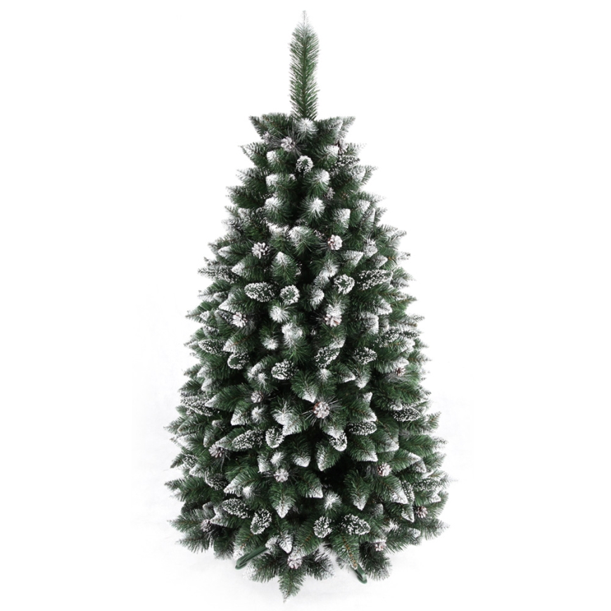 Karácsonyfa TAL 250 cm borókafenyő
