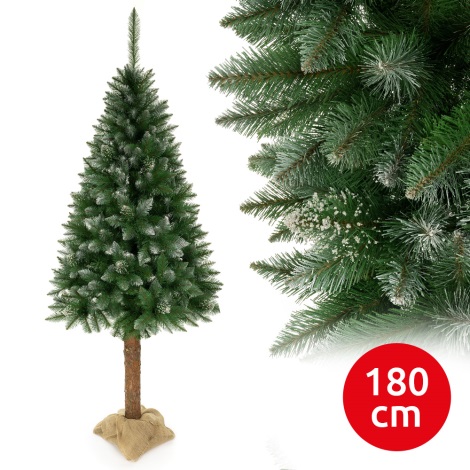 Karácsonyfa tönkön 180 cm lucfenyő