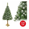 Karácsonyfa törzsön 220 cm fenyő