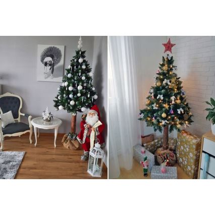 Karácsonyfa törzsön 220 cm fenyő