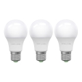 KÉSZLET 3x LED Izzó ECOLINE A60 E27/15W/230V 4000K - Brilagi