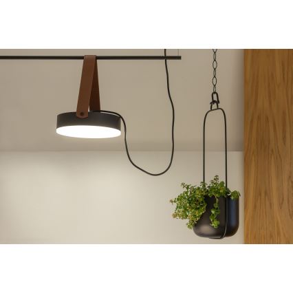 LED csillár kábelre SPECTRUM LED/23W/230V fekete/barna