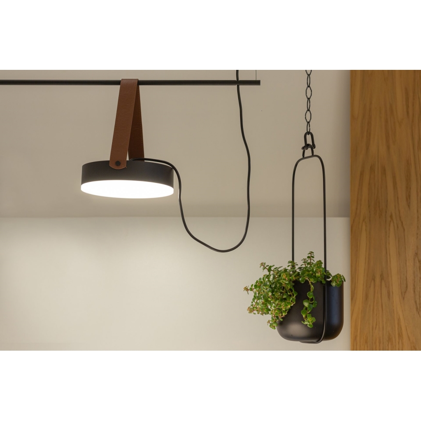 LED csillár kábelre SPECTRUM LED/23W/230V fekete/barna