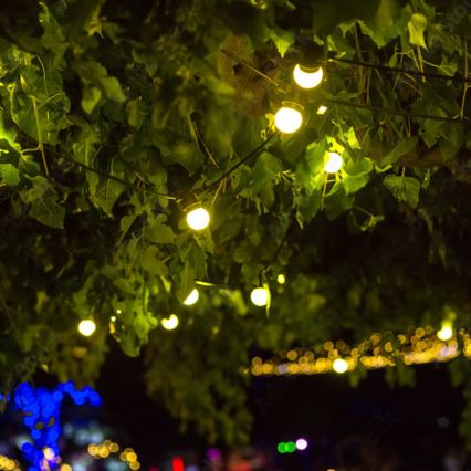 Kültéri dekoratív fénylánc MIMOSA 10xE27/1,3W/230V IP44 10m