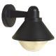 Kültéri fali lámpa ELGIN 1xE27/60W/230V IP44 fekete