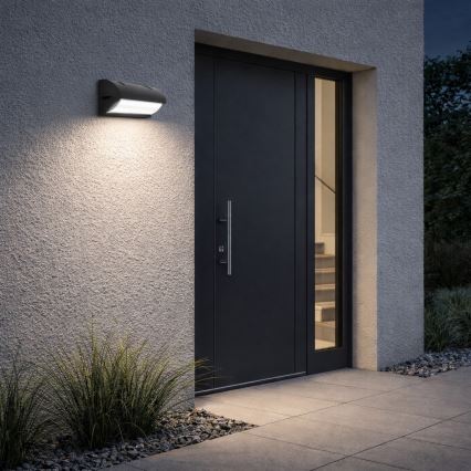 Kültéri fali lámpa FREON 1xE27/50W/230V IP54 antracit