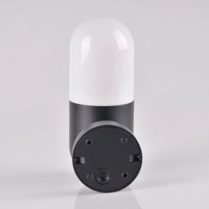 Kültéri fali lámpa HORTEN 1xE27/10W/230V IP44