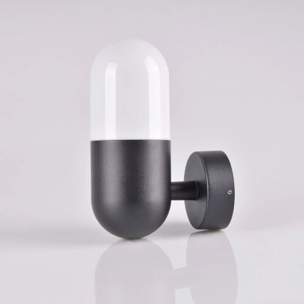 Kültéri fali lámpa HORTEN 1xE27/10W/230V IP44