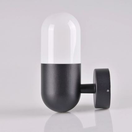 Kültéri fali lámpa HORTEN 1xE27/10W/230V IP44