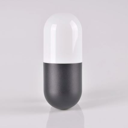 Kültéri fali lámpa HORTEN 1xE27/10W/230V IP44