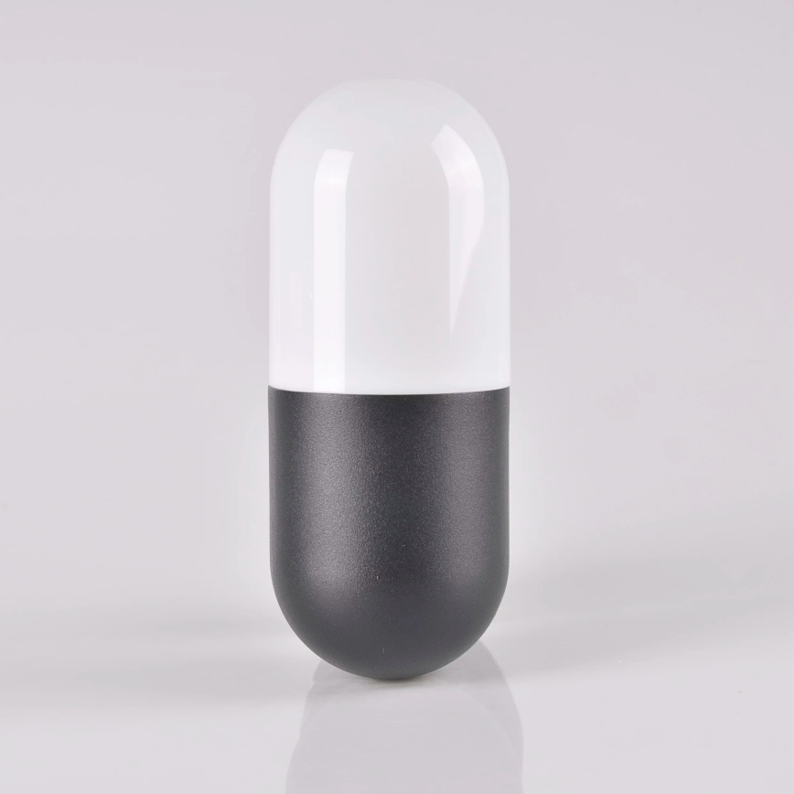 Kültéri fali lámpa HORTEN 1xE27/10W/230V IP44