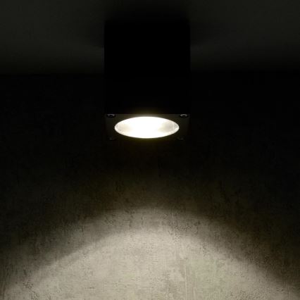 Kültéri fali lámpa MORRIS 1xGU10/35W/230V IP54