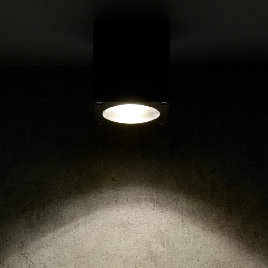 Kültéri fali lámpa MORRIS 1xGU10/35W/230V IP54