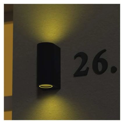 Kültéri fali lámpa OCULUS 2xGU10/7W/230V IP44