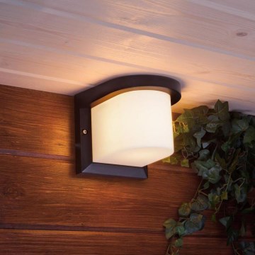 Kültéri fali lámpa PETUNIA 1xE27/60W/230V IP44 antracit