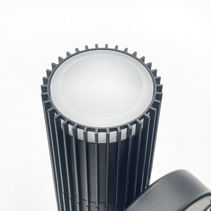 Kültéri fali spotlámpa LANTHEA 2xGU10/11W/230V IP44 fekete