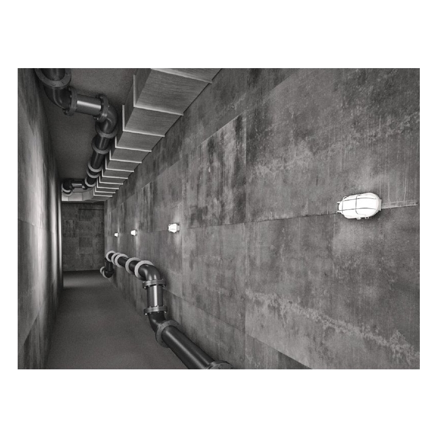 Kültéri mennyezeti lámpatest OVAL 1xE27/60W/230V IP44 fehér