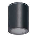 Kültéri spotlámpa AQILO 1xGU10/7W/230V IP65 antracit