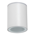 Kültéri spotlámpa AQILO 1xGU10/7W/230V IP65 fehér