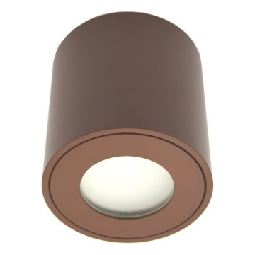 Kültéri spotlámpa FARA 1xGU10/30W/230V IP54 barna
