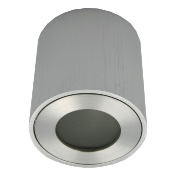 Kültéri spotlámpa FARA 1xGU10/30W/230V IP54 ezüst