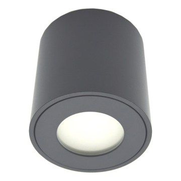 Kültéri spotlámpa FARA 1xGU10/30W/230V IP54 fekete