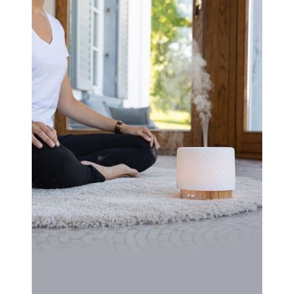 Lanaform - LED-es ultrahangos aroma diffúzor 5V 280 ml USB