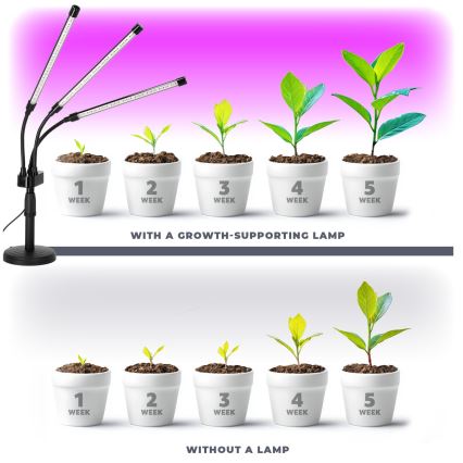 LED állítható fényerejű, rugalmas asztali növénynevelő lámpa VITARO 3xLED/10W/230V fekete