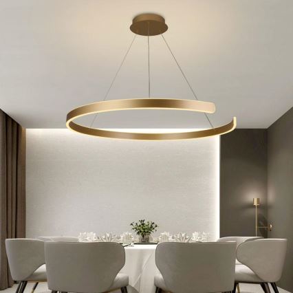 LED Fényerőszabályzós csillár kábellel LED/100W/230V 3000-6500K átm. 80 cm + távirányító